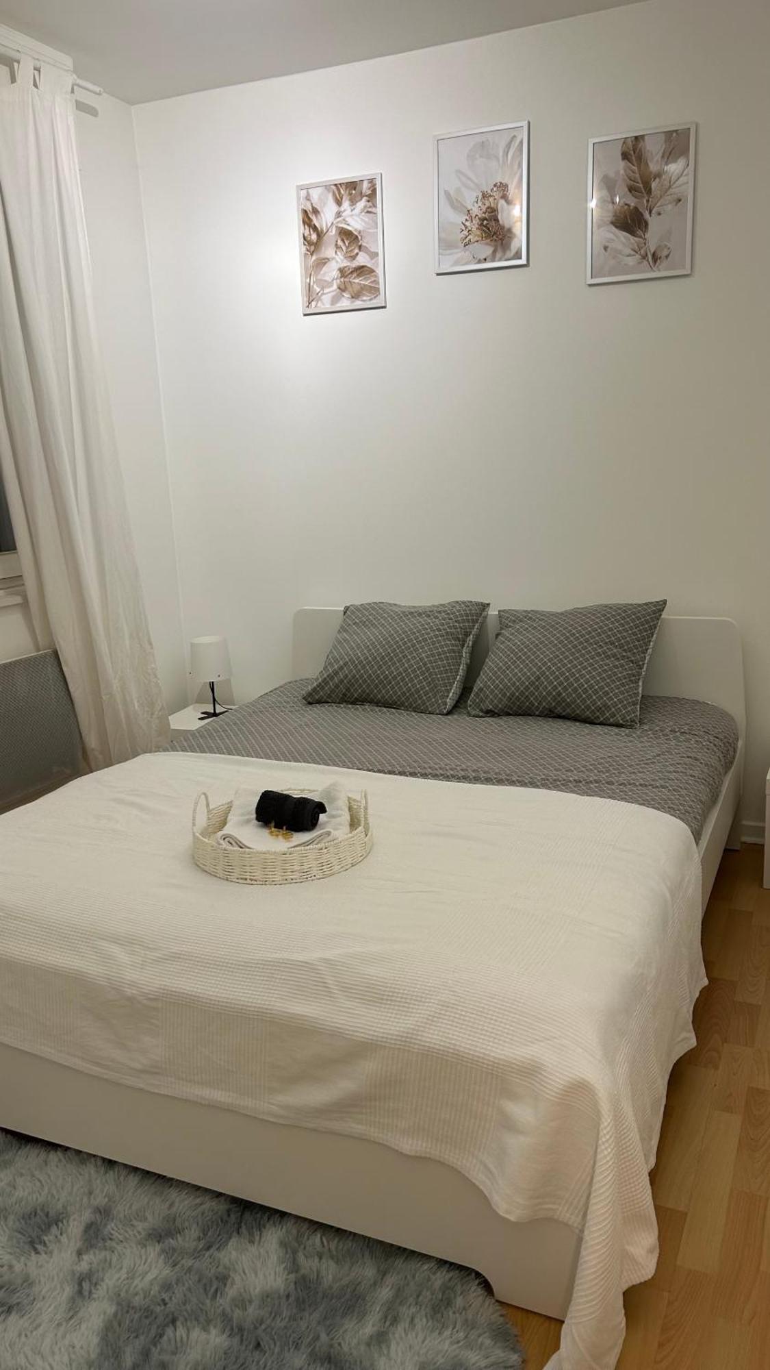 Appartement Frontiere Luxembourg Thionville Exteriör bild